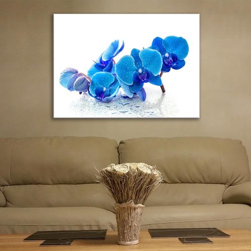 Wall Art Blue Orchid on the White Background, the size: w 80 x h 70cm,  SALE, 25% OFF